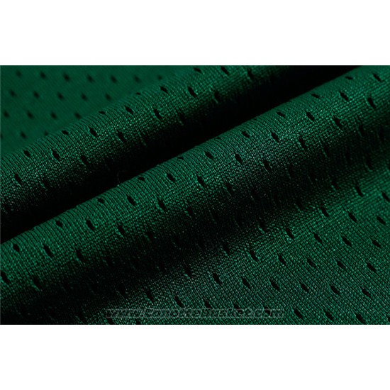Maglia NCAA Michigan State Spartans Magic Johnson #33 Retro Verde